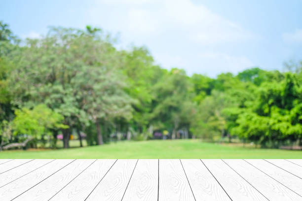 istock Empty white table, perspective wood over blur trees with bokeh background, product display montage background 672941348