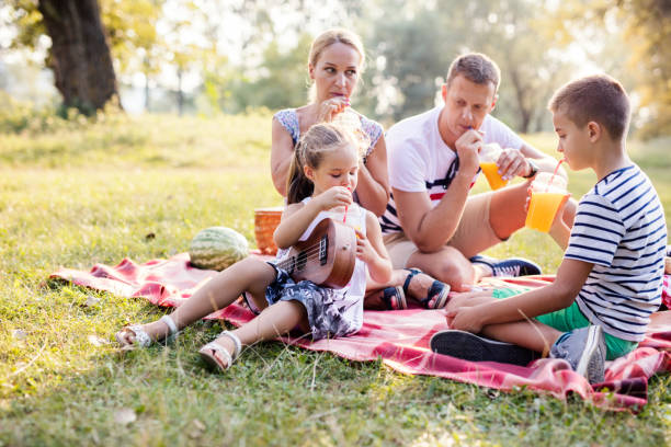 istock Family enjoying their time together on picnic. 672943900