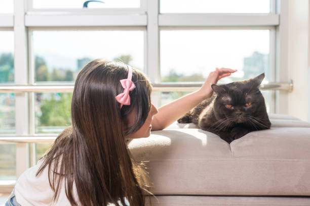 istock little girl is playing with her cat 672944142