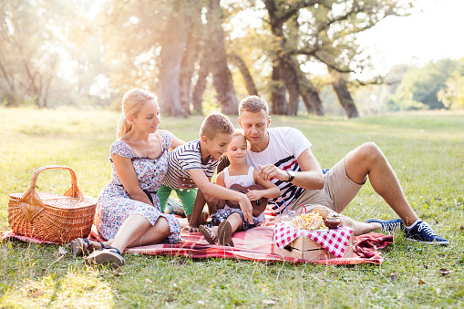 Happy family having picnic in the park at meadow at summer day