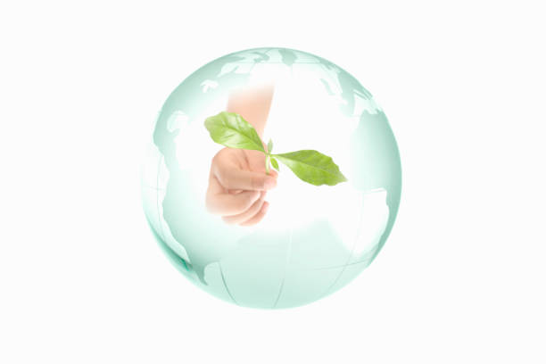 istock Hand with the leaves inside the Earth 672946132