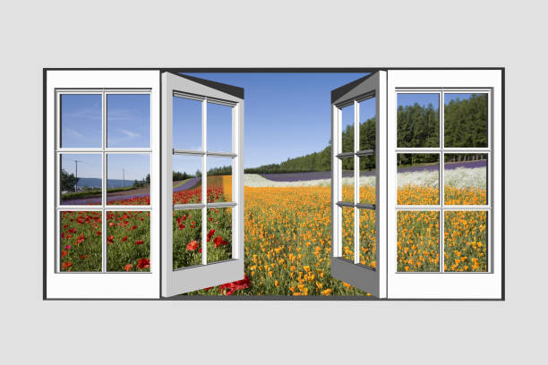 granja tomita de windows - flower red poppy sky fotografías e imágenes de stock