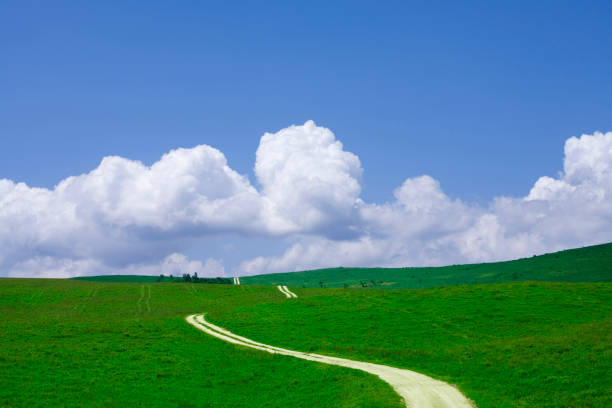 istock In the Meadow road 672958910
