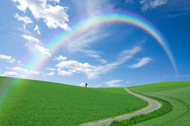 牧草地と虹の道 - 草原 ストックフォトと画像