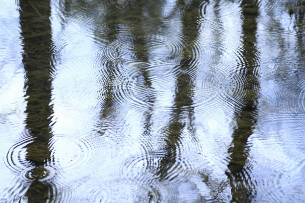 Water ripples Water ripples water rings stock pictures, royalty-free photos & images