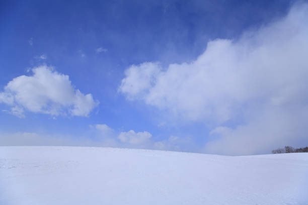 istock Snowy field and a blue sky 672963174