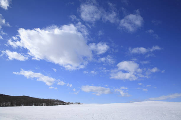istock Snowy field and a blue sky 672963486