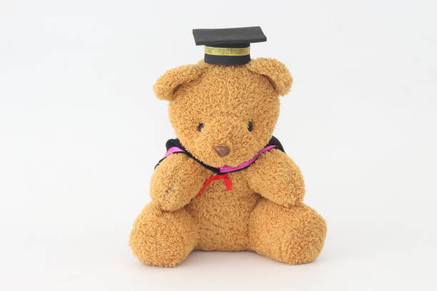 istock Brown bear wearing a graduation cap on a white background. 672988240