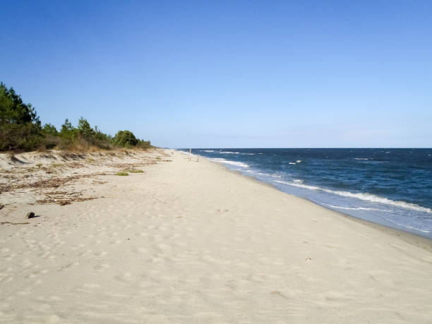 istock Ghisonaccia beach without people 672989478