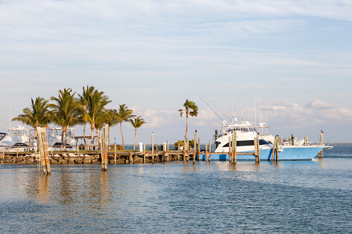 Deep sea fishing boats in a marina at the Florida Keys. Florida, United States