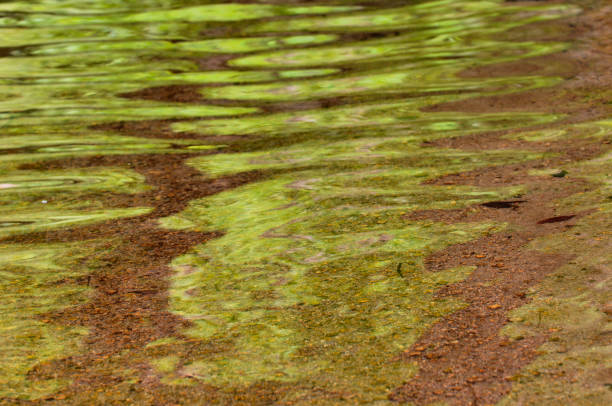 istock Surface of the water 673000028