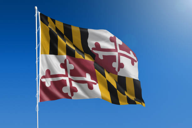 The flag of the state of Maryland blowing in the wind in front of a clear blue sky