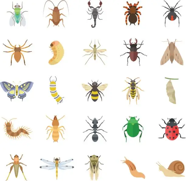 Vector illustration of Insects color vector icons