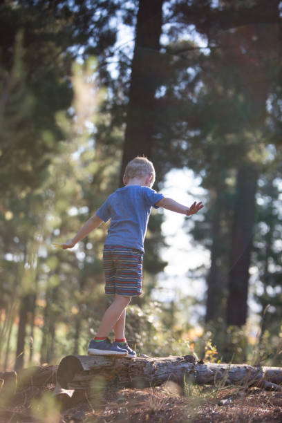 istock Boy balancing on a fallen tree stump in the forest 673016744