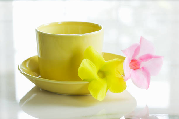 Cup of coffee and despladenia flowers