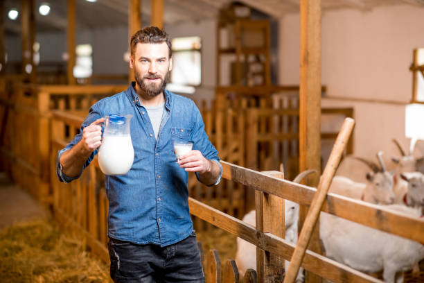 istock Farmer with milk at the goat barn 673033372