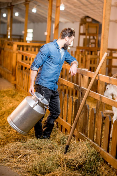 istock Farmer in the goat barn 673033710