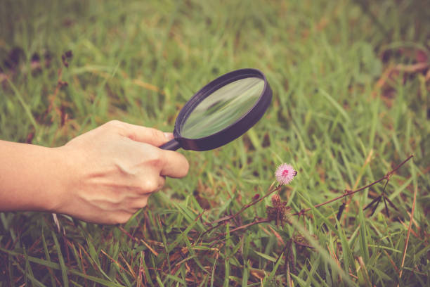 istock Close up human's hand with magnifying glass. Vintage style. 673039220