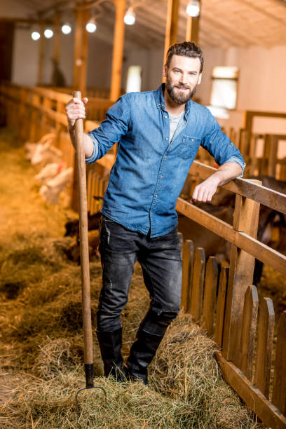 istock Farmer working in the goat barn 673039782