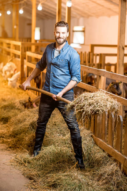istock Farmer working in the goat barn 673039842