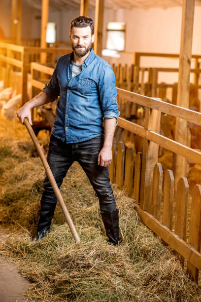 istock Farmer working in the goat barn 673039990