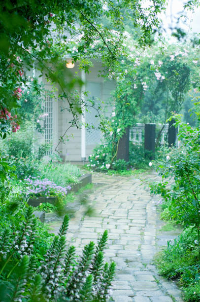 istock English garden in the rain 673045476