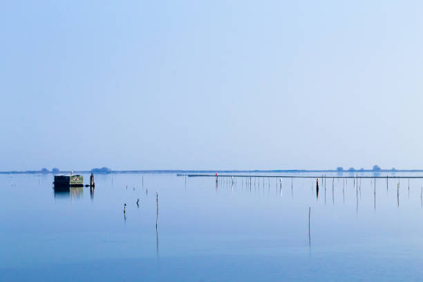 istock Shellfish farming from Po river lagoon, Italy 673045578