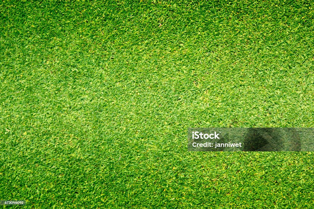 grass background Golf Courses green lawn grass background Golf Courses green lawn pattern textured background. Grass stock illustration