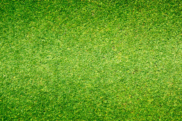 Grass Background Golf Courses Green Lawn Stock Illustration - Download  Image Now - Grass, Golf, Backgrounds - iStock