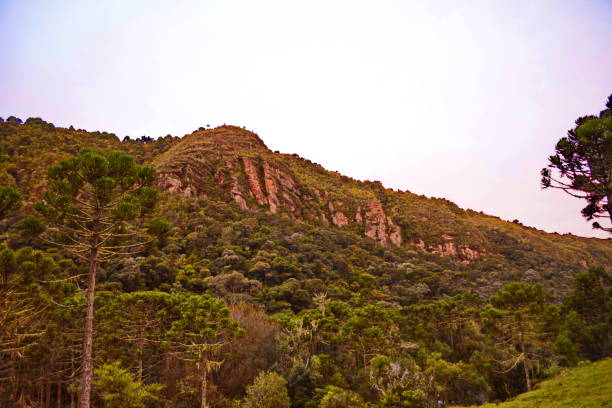 istock Mountains in Urubici 673056196