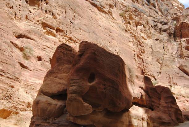 istock Petra, Jordan's lost ancient city 673057374