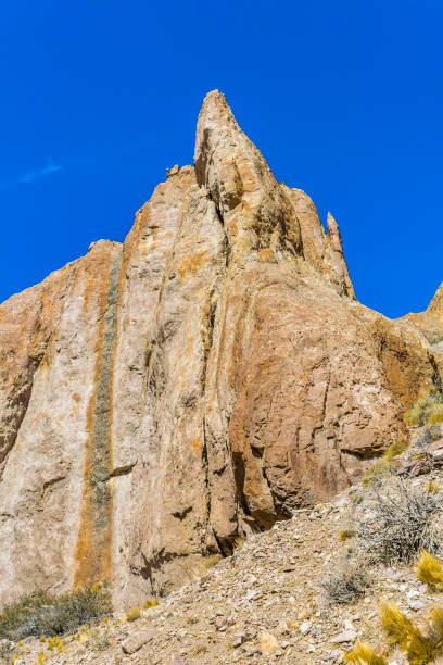 istock Cueva de las Manos, Patagonia, Argentina 673064326