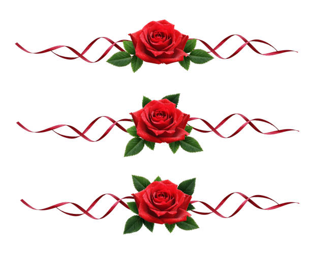 Brown roses and ribbon and music score design with green and blue background. \nroses are pressed flower.