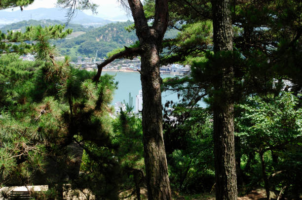 istock Onomichi city bird's eye view 673066562
