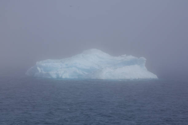 istock Iceberg in fog 673072956