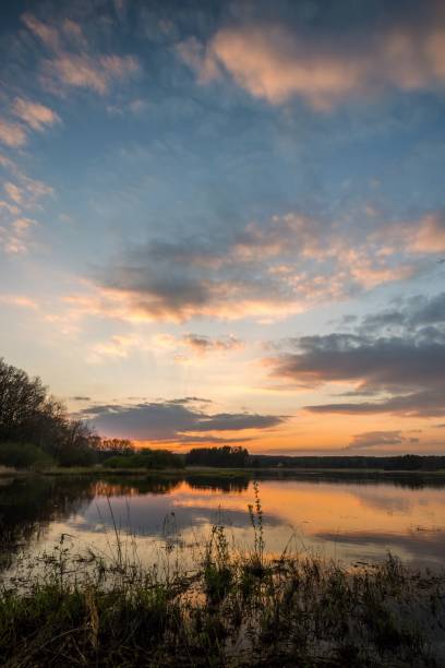 istock Evening landscape over the pond with few trees and branches 673077036
