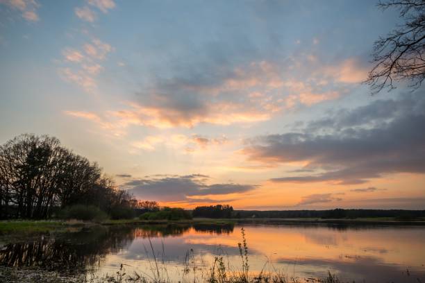 istock Evening landscape over the pond with few trees and branches 673077166