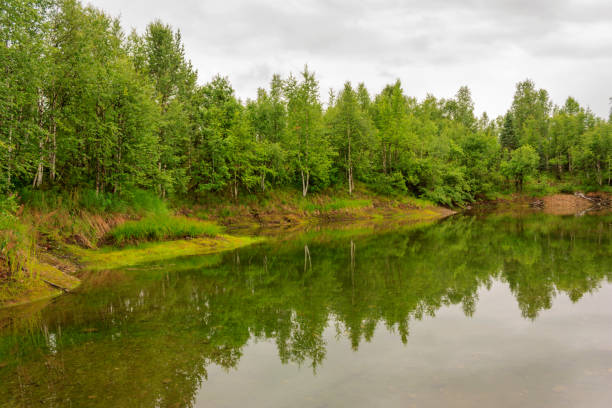 istock Spilling river in a green forest natural background 673078076