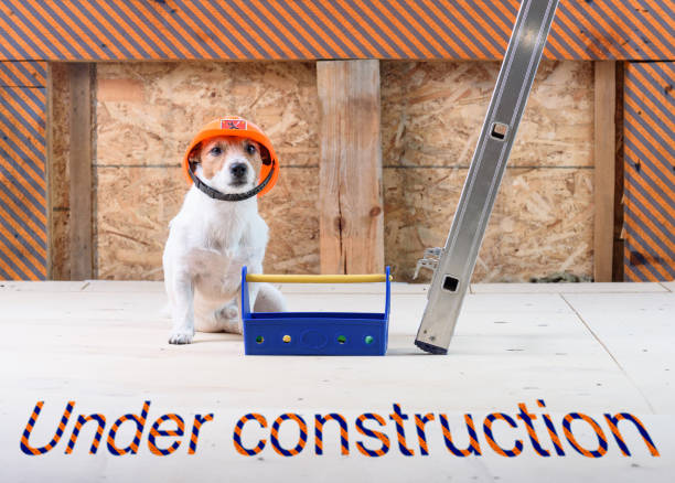 istock Under construction site with dog as funny builder wearing hard hat 673078914