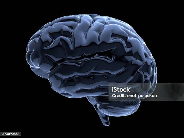 Brain On Black Stock Photo - Download Image Now - Glass - Material, Black Color, Three Dimensional