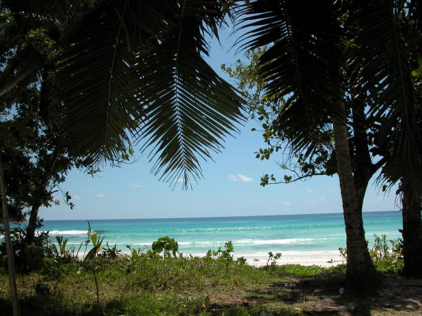 istock The beach in seychelles 673096246
