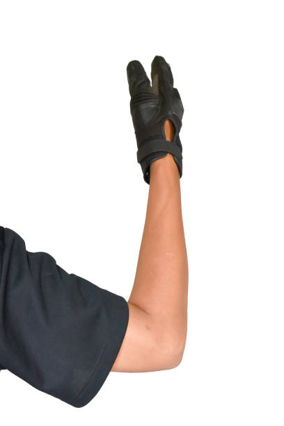 istock Motorcycle glove and hand signal go ahead 673107718