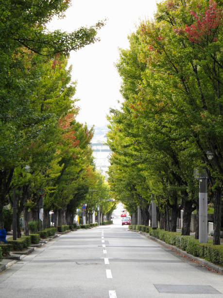 istock Residential area of Ashiya 673123746