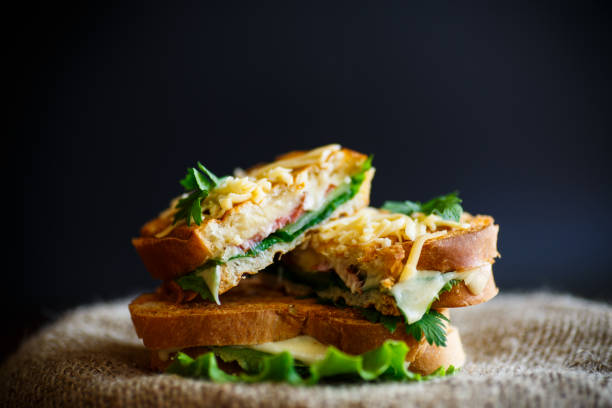 istock Fried hot sandwich with sausage and salad leaves 673134722