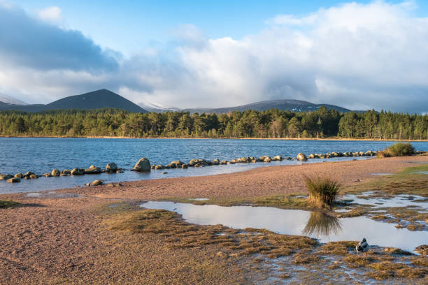 istock Loch Morlich (Mhurlaig), Highlands, Scotland 673138618