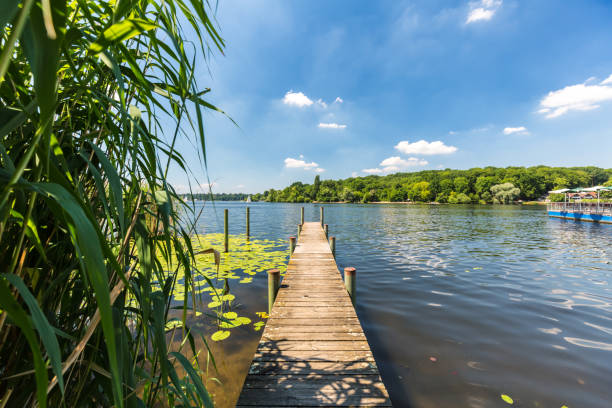 berlin wannsee - spree river foto e immagini stock