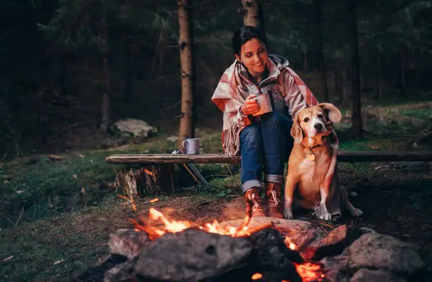 Photo of Woman and dog warm near campfire in forest