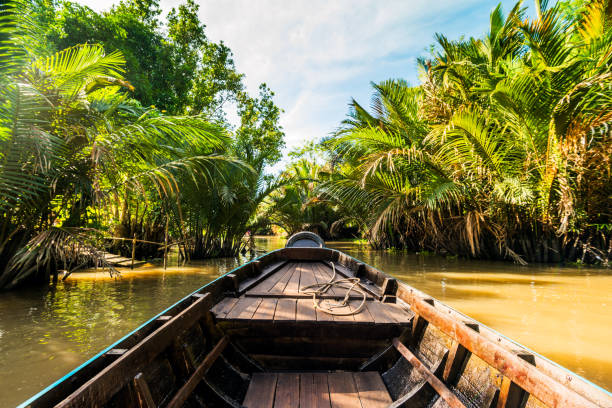 Boat on the mekong river Boat on the Mekong River, swim through the canals in the Mekong Delta in Asia laos photos stock pictures, royalty-free photos & images