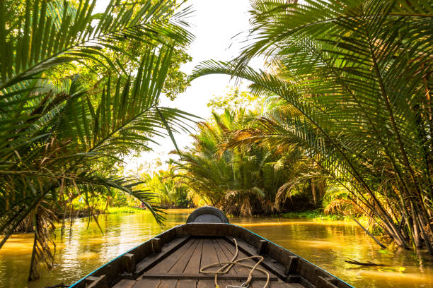 istock Boat on the Mekong Delta 673149064