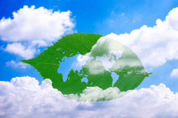 istock Map of the world leaves 673159214